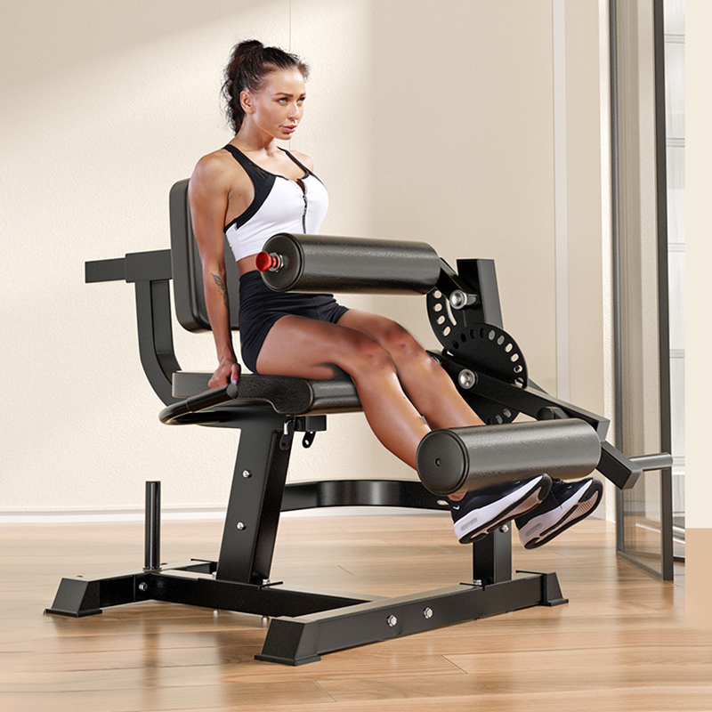 Bangku Latihan 6 Posisi yang D - Home Gym Leg Extension Machine ulasan dan harga