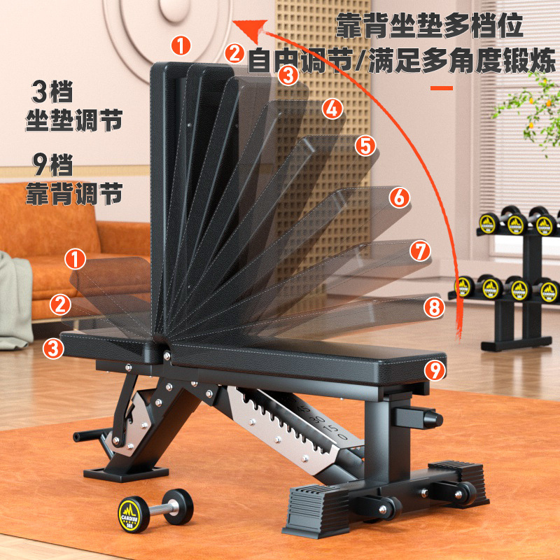 Bangku Dumbbell Multi-Fungsi y - Home Gym Weight ulasan dan harga