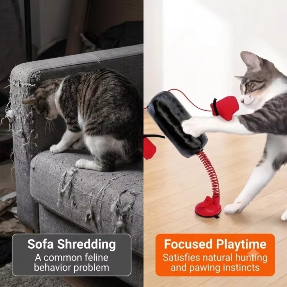 Mainan Tinju Kucing dengan Ala - Speed Bag Boxing ulasan dan harga