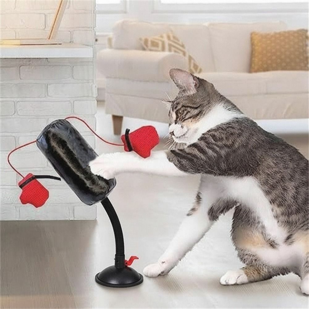 Mainan Tinju Kucing dengan Ala - Speed Bag Boxing ulasan dan harga