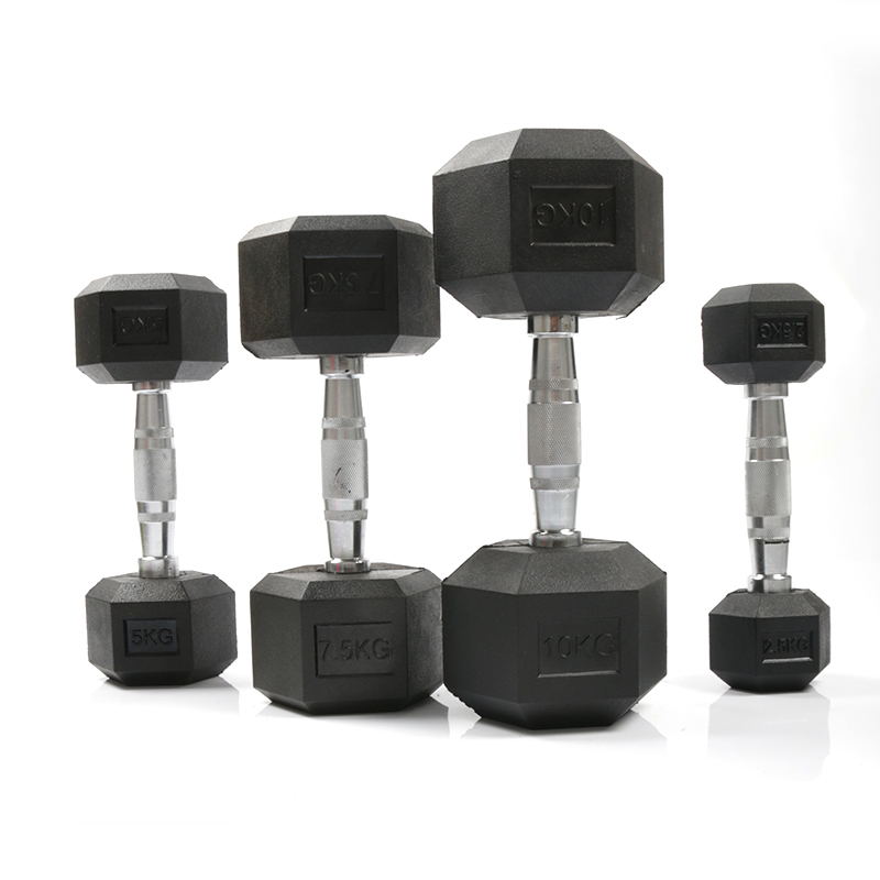 Dumbbell Hexagonal Berlapis Ka - Home Gym Custom ulasan dan harga